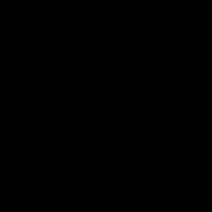 Meet your Posher, Rayanna